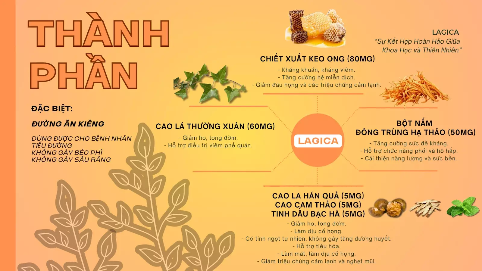 2. Thành Phần Chính Của Viên Ngậm Lagica