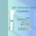 Gel Cicatrice Giảm Thâm, Mờ Sẹo, Phục Hồi Da (Tuýp 20g)