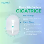 Gel Cicatrice Giảm Thâm, Mờ Sẹo, Phục Hồi Da (Tuýp 20g)